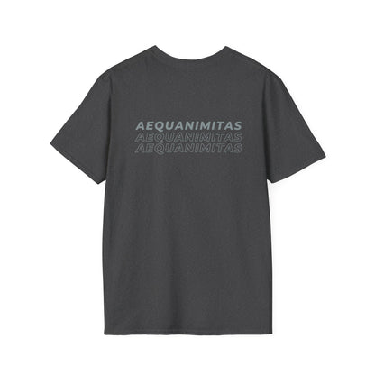 Aequanimitas